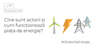 Actorii pe piata de energie